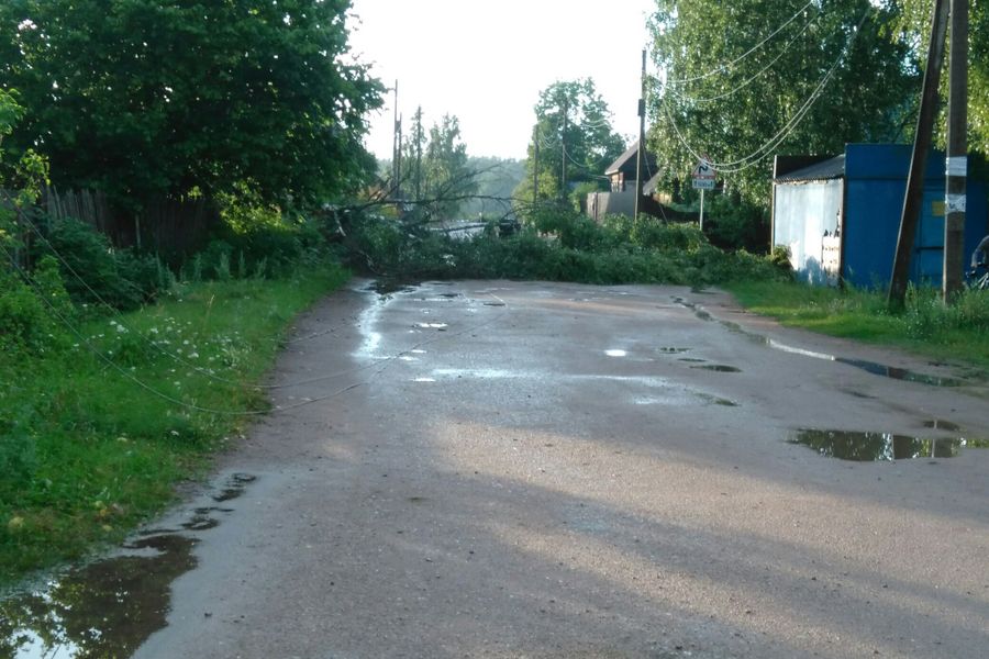 Ураган в Псковской области валил деревья и срывал крыши (ФОТО)