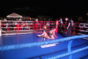 В Великих Луках прошли бои по смешанным боевым единоборствам ММА (фото)