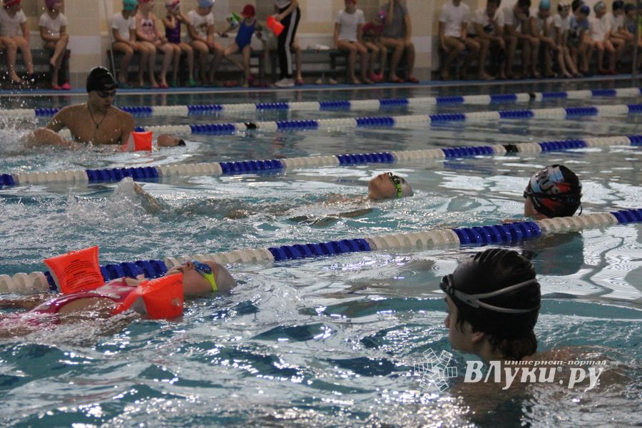 В Великолукском Айсберге прошли соревнования по плаванию на призы Деда Мороза (ФОТО)
