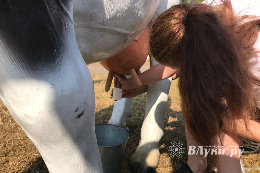 Миссия выполнима