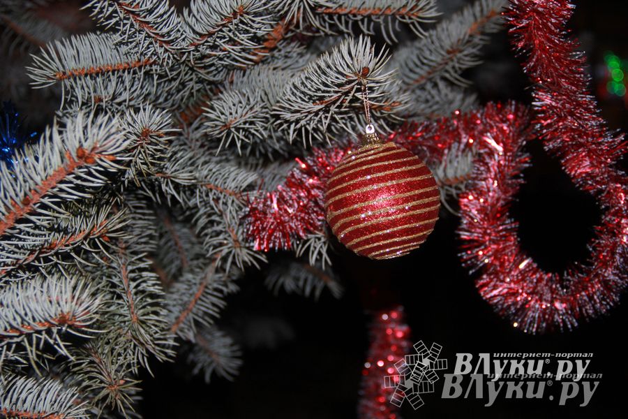 В Великих Луках состоялась презентационная игра «Дозор» (фото)