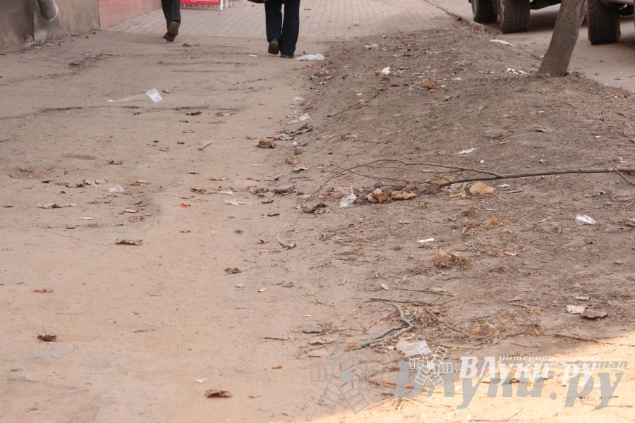 Великие Луки утопают в пыли и песке (фото)