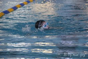 В Великих Луках прошли соревнования по плаванию «Весёлый дельфин» 