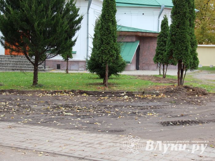 Куда исчезли пихты у Свято-Вознесенского собора в Великих Луках (ФОТОрасследование)