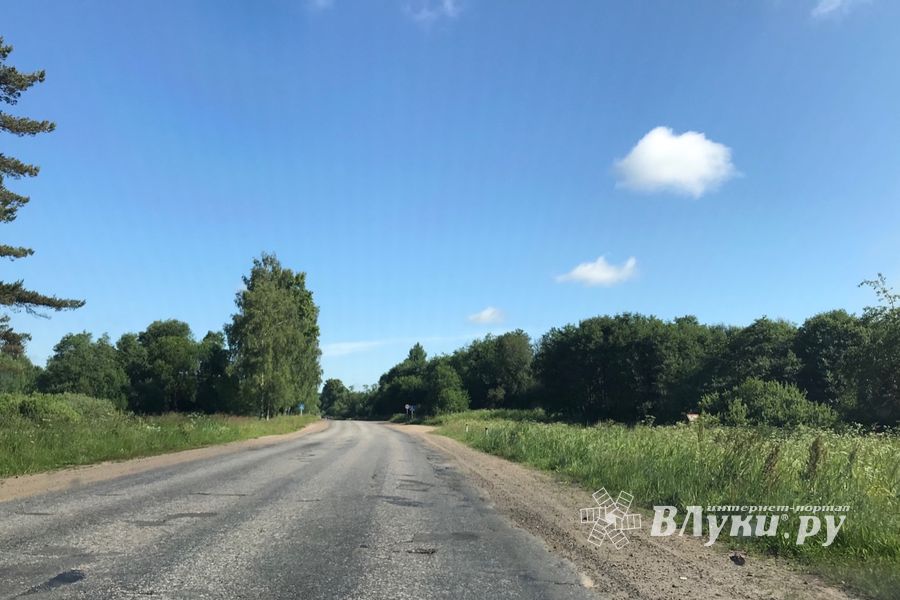 Трава у дома (ФОТО)