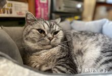 Сегодня великолучанам обещают переменную облачность