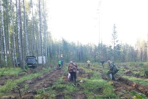 Акция «Сохраним лес» прошла в Печорском районе (ФОТО)