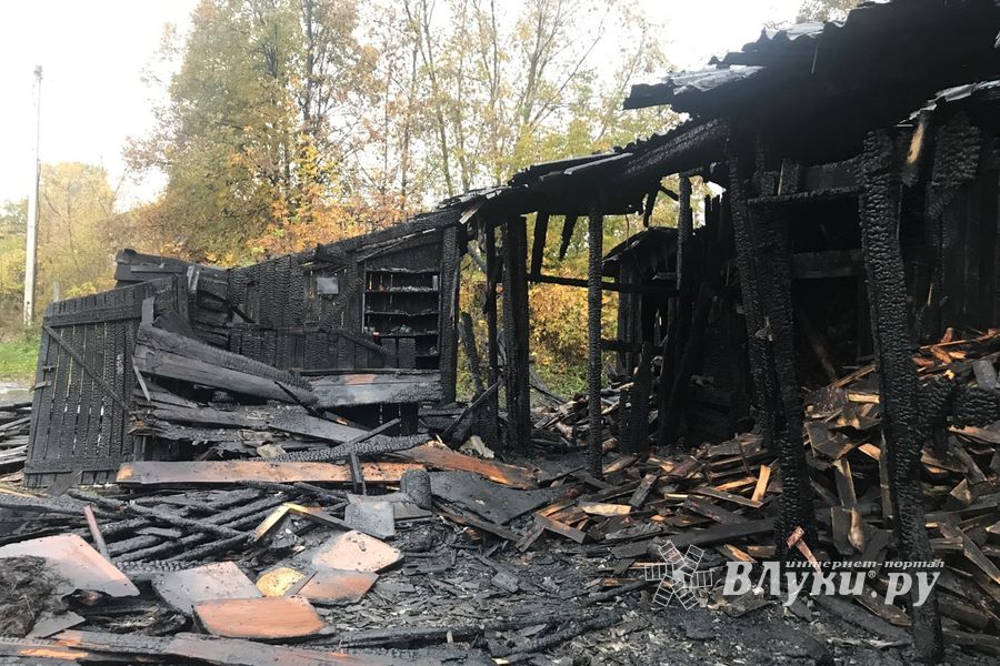 В результате поджога в Великих Луках пострадал 1 человек (ФОТО)