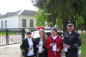 В Великолукском районе сотрудники Госавтоинспекции провели «День трезвости» (фото)