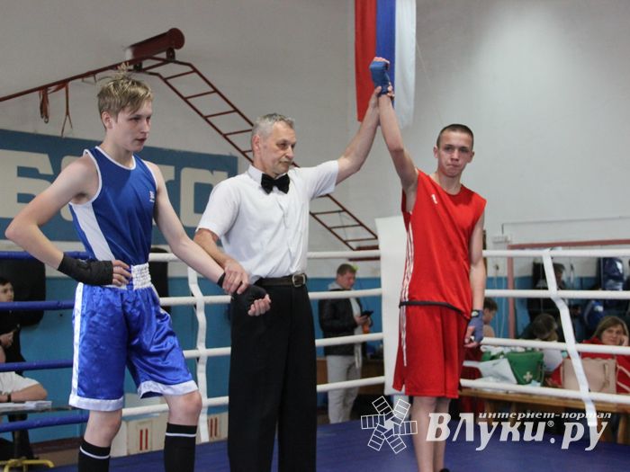 Юные великолучане выявили сильнейших боксёров (ФОТО)