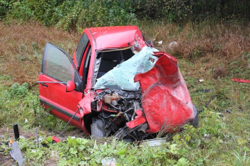 На трассе Псков — Гдов произошло смертельное ДТП (ФОТО)
