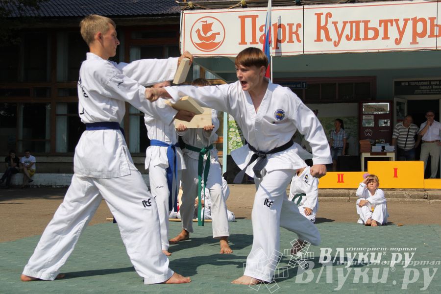 В Великих Луках отметили День физкультурника