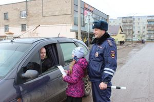 В Новосокольниках прошла акция «Пристегни самое дорогое!» (ФОТО)