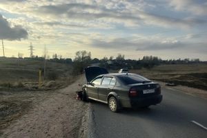 Фото: пресс-службы МО МВД России «Великолукский»