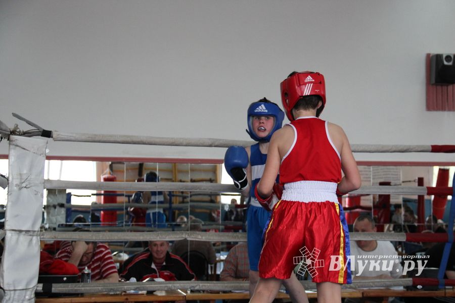 В Великих Луках прошло Первенство города по боксу (ФОТО)