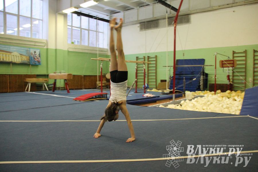 В Великих Луках состоялось Первенство по командной гимнастике (фото)