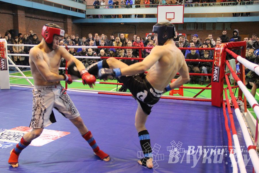 В Великих Луках прошел межрегиональный Открытый Кубок по смешанному боевому единоборству (фото)