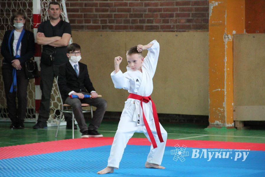 Открытый Кубок города Великие Луки по каратэ WKF (ФОТО)