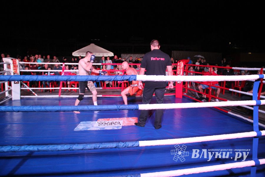 В Великих Луках прошли бои по смешанным боевым единоборствам ММА (фото)