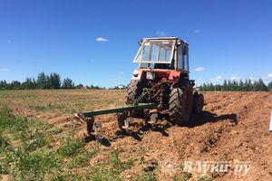 Фото предоставлено комитетом по молодежной политике и спорту г. Великие Луки