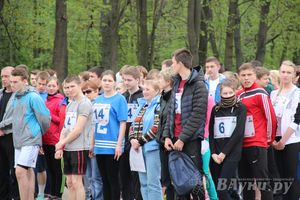 В Великих Луках прошла весенняя городская эстафета (фото)