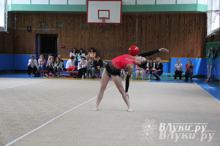 В Великих Луках прошло Первенство по художественной гимнастике (фото)