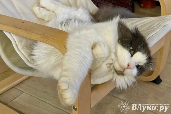 Прогноз погоды на 5 декабря в Великих Луках