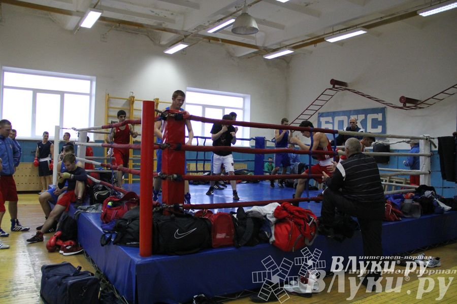 Открытие 16-го  Международного турнира по боксу