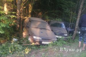 В Великолукском районе произошло ДТП (фото)