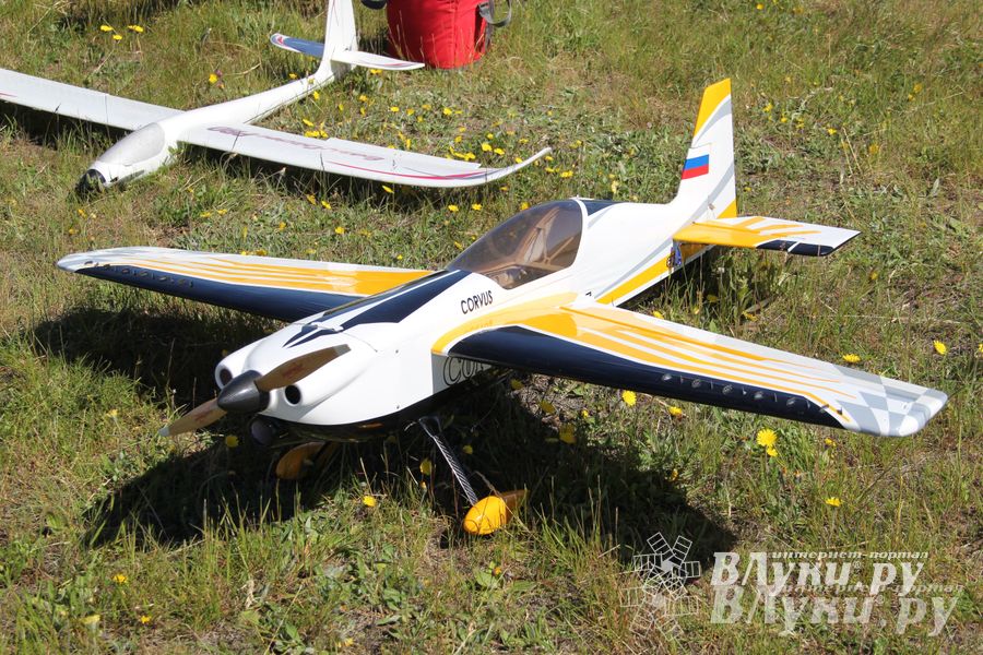 В Великих Луках прошел Фестиваль авиамодельного спорта (фото)