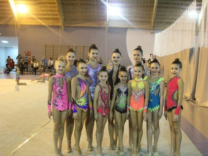 Великолукские гимнастки на чемпионате области завоевали медали