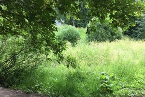 Необитаемый остров Дятлинка (ФОТО)