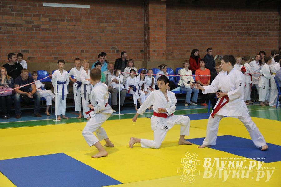 Великолучане стали победителями турнира по каратэ «Неприкосновенный запас, дети — Отчизны 2015» (фото)