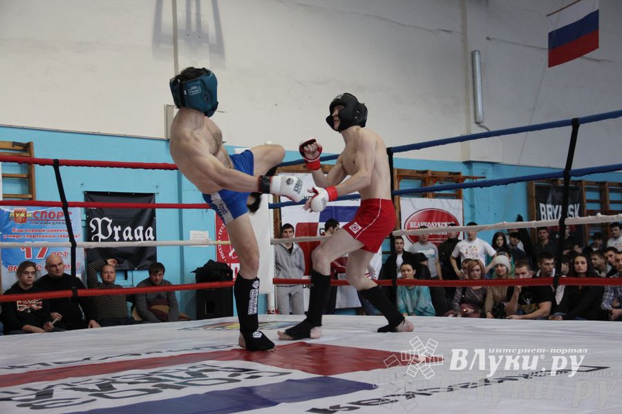 Открытый Кубок города Великие Луки по смешанному боевому единоборству (ММА)