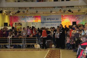 Всероссийская выставка собак в Великих Луках (фото)