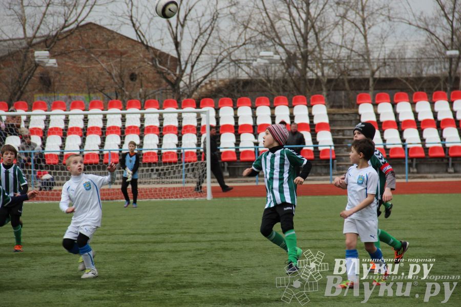 В Великих Луках прошел международный детский турнир по футболу «Наши надежды»