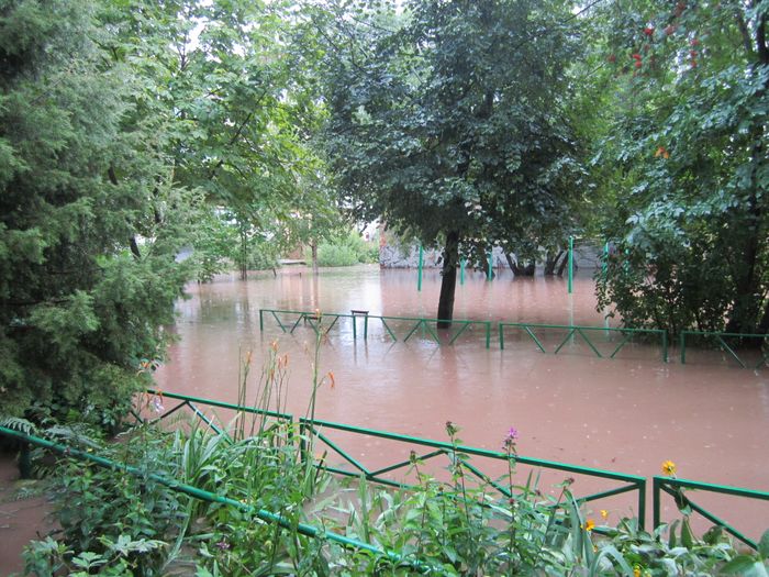 Выявлен самый затопленный двор в Великих Луках (ФОТО)