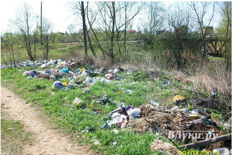 ​Великолучане продолжают жаловаться на свалки (ФОТО)