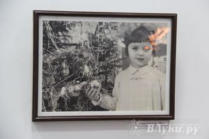 В Великих Луках открылась выставка «Новый год из детства» (фото)