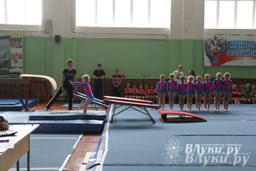 В Великих Луках состоялось Первенство по командной гимнастике (фото)