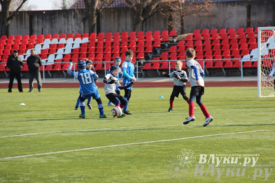 В Великих Луках прошел международный детский турнир по футболу «Наши надежды»