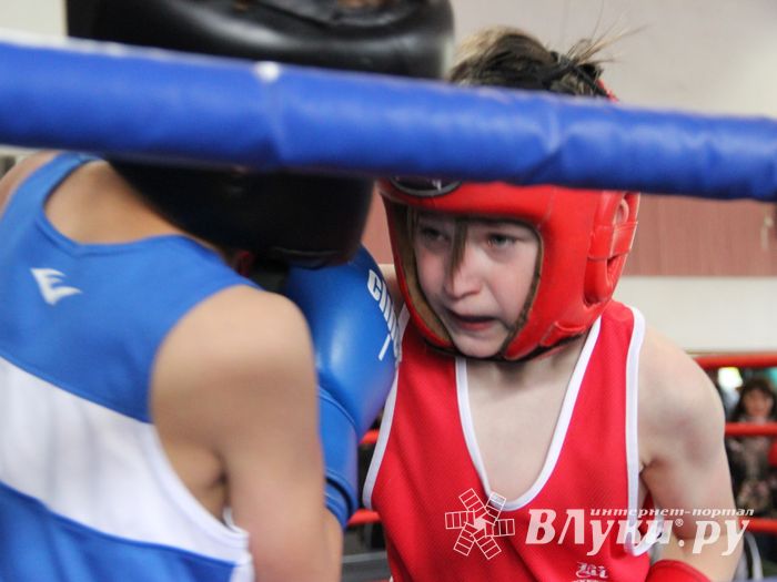 Юные великолучане выявили сильнейших боксёров (ФОТО)
