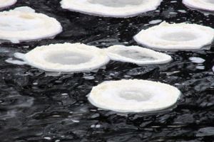 Удивительное природное явление в Великих Луках (ФОТО)