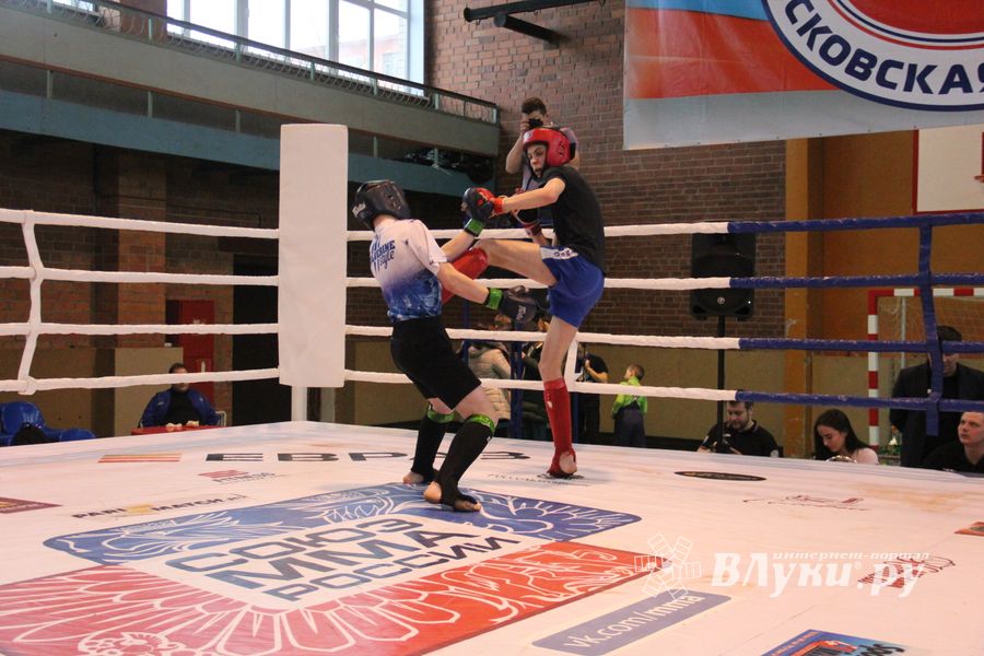В Великих Луках прошел международный открытый Кубок по смешанному боевому единоборству (ФОТО) (16+)