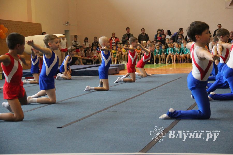 Парад гимнастики