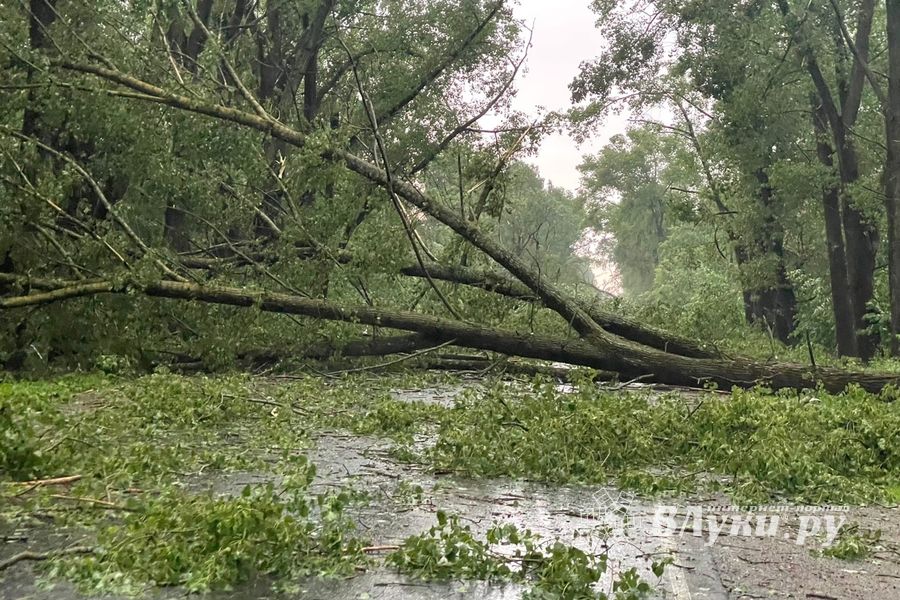 Весь ужас вчерашнего урагана в Великих Луках и районе (ФОТО, ВИДЕО)