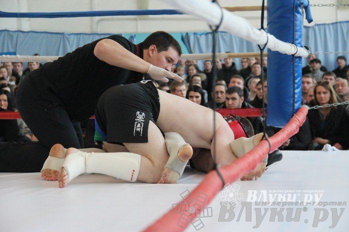 Чемпионат Псковской области по ММА