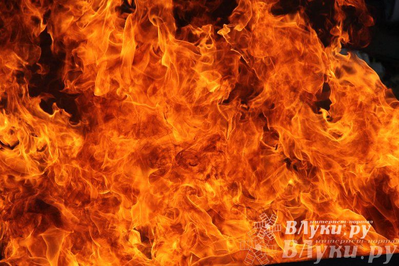 В Великих Луках прошли соревнования среди пожарных