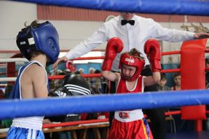 Юные великолучане выявили сильнейших боксёров (ФОТО)