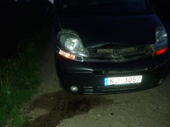 Под Великими Луками водитель сбил косулю (ФОТО)